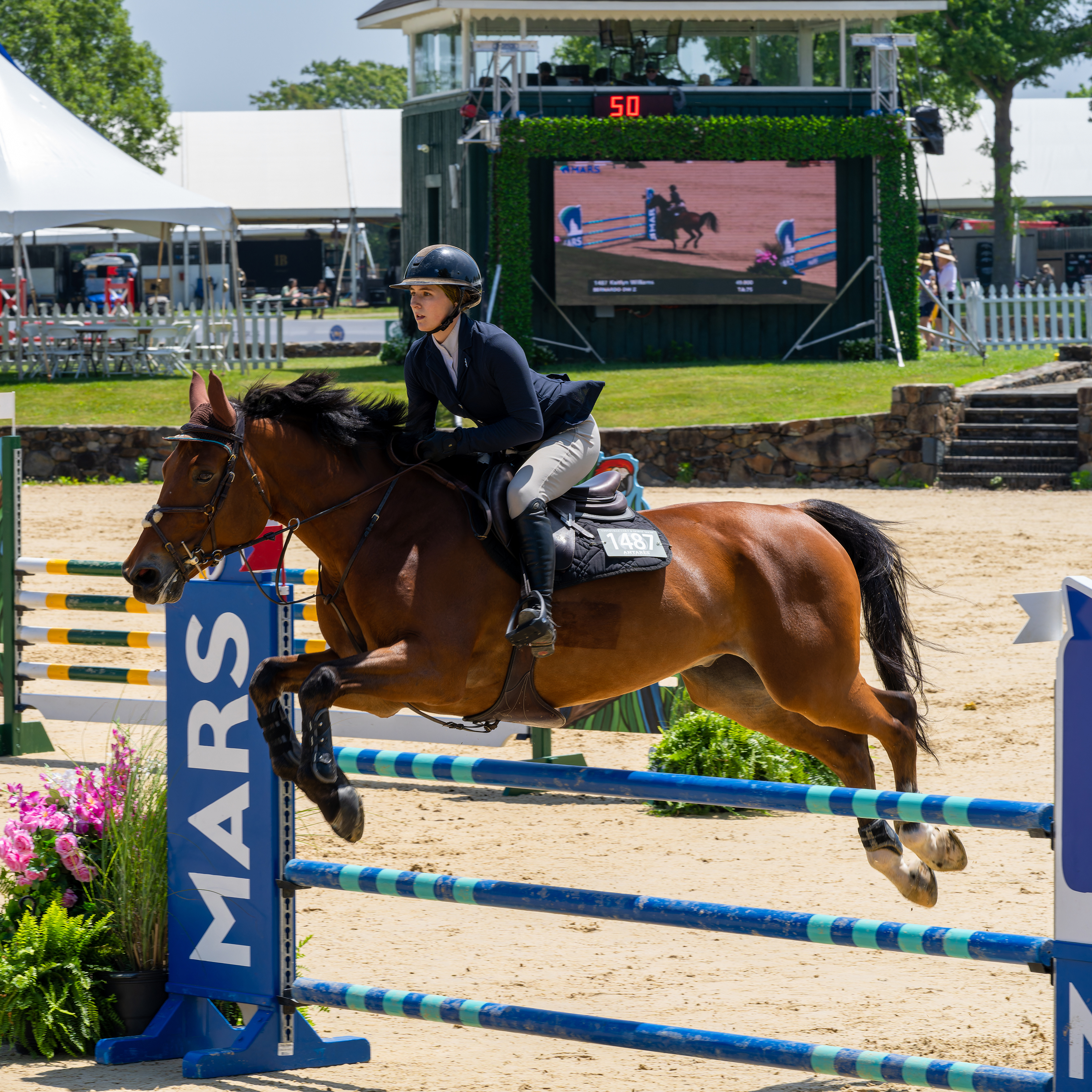 Equestrian